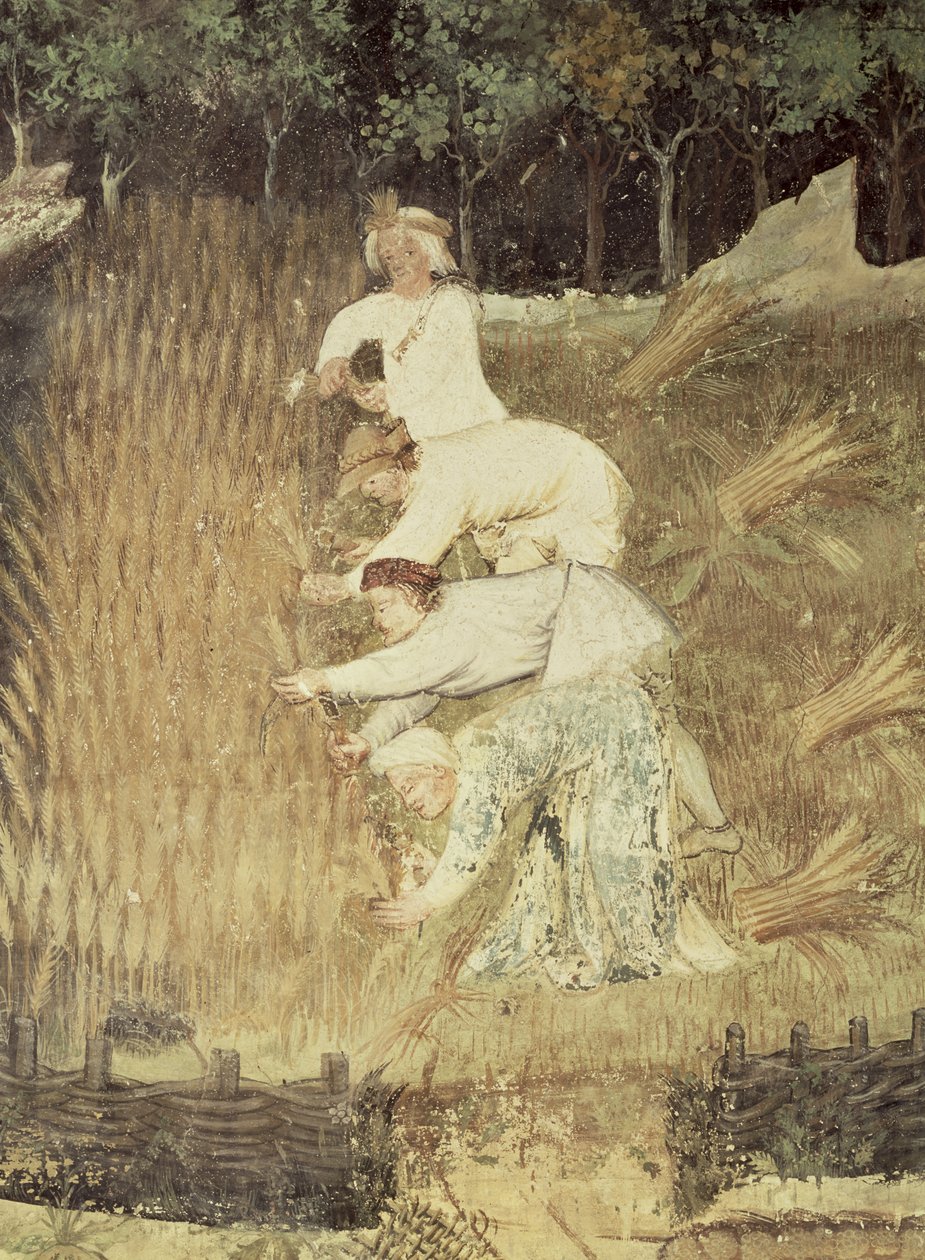 O mês de agosto, detalhe da colheita, c.1400 de Bohemian School