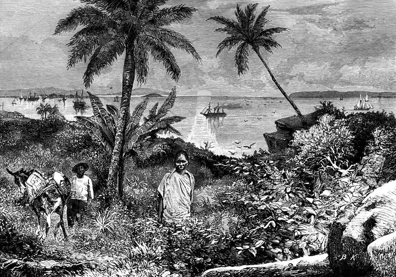 A baía do panamá de Bohuslav Kroupa