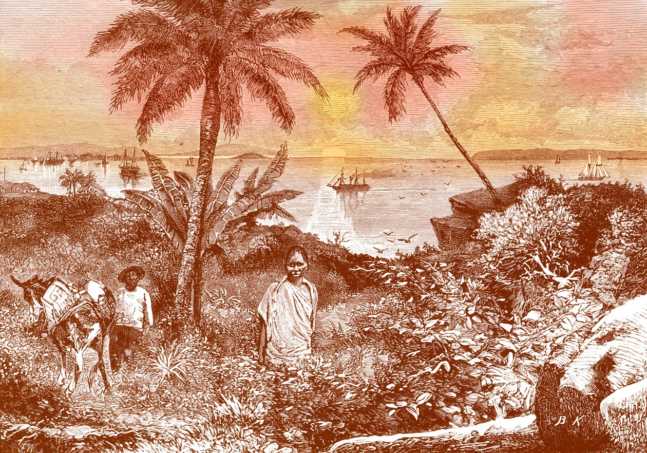 A Baía do Panamá de Bohuslav Kroupa