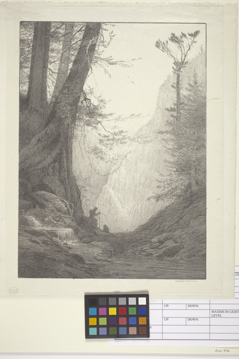Cedros grandes (tinta sobre papel, litografia) de Bolton Coit Brown