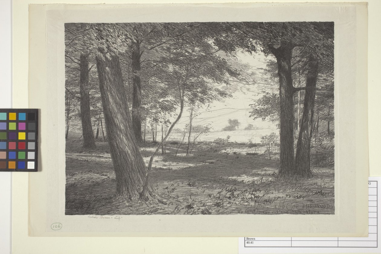 Edge Of The Woods (tinta sobre papel) de Bolton Coit Brown
