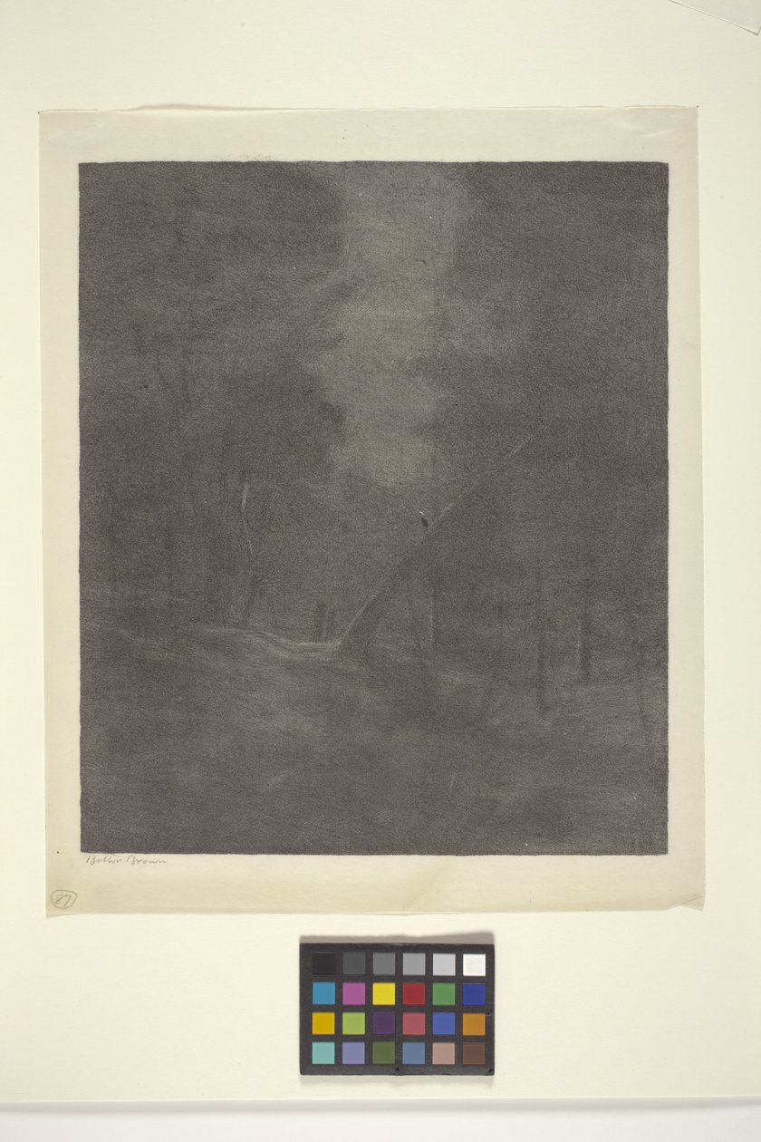 Madeira Moonlight Woods (tinta sobre papel) de Bolton Coit Brown