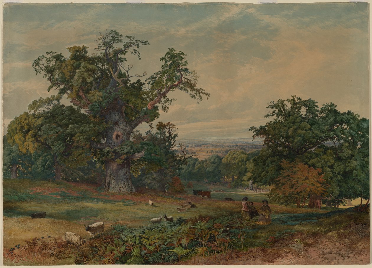 Vista perto de Bedford de Bradford Rudge