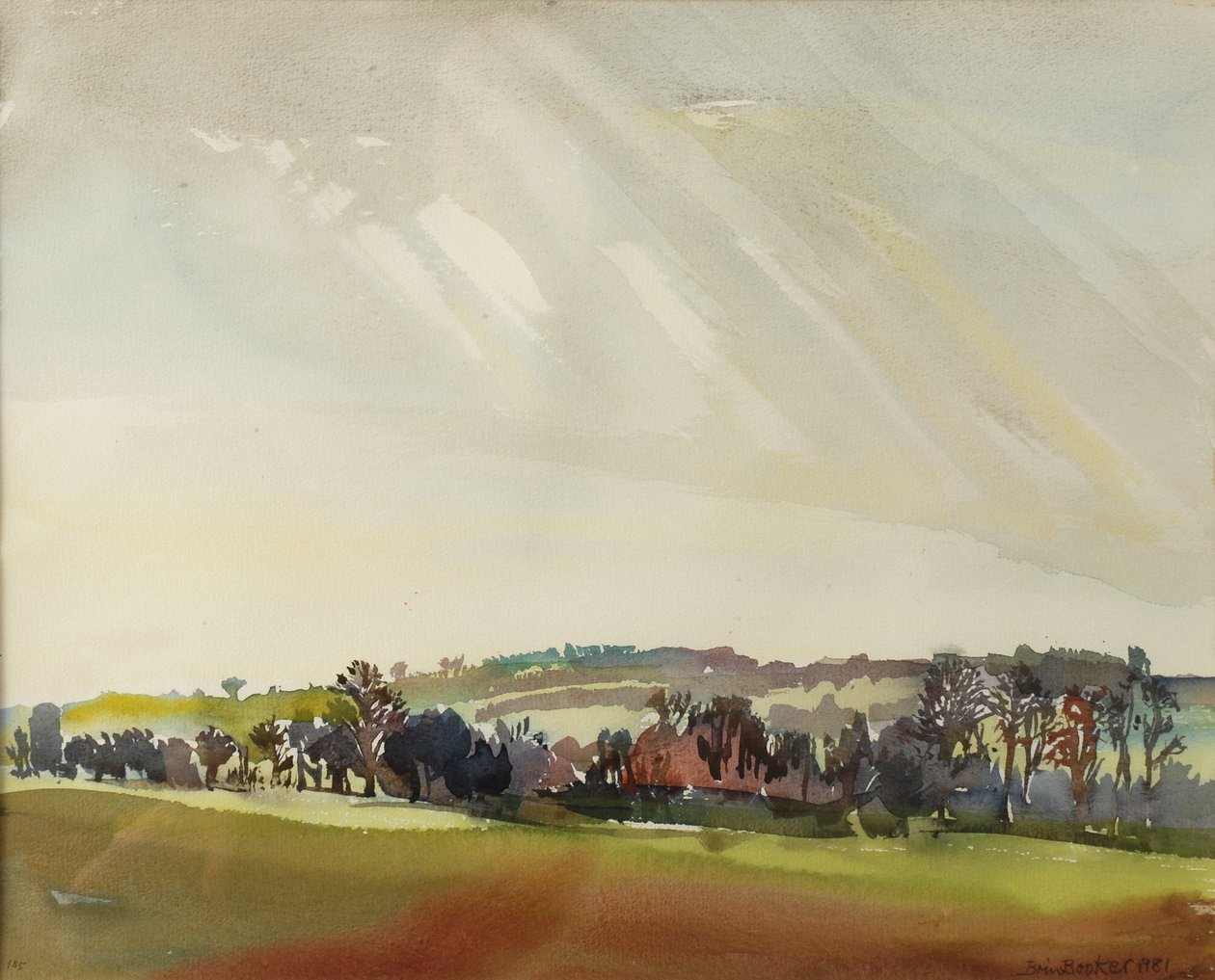 Manhã Paisagem, 1981 (wc no papel) de Brenda Brin Booker