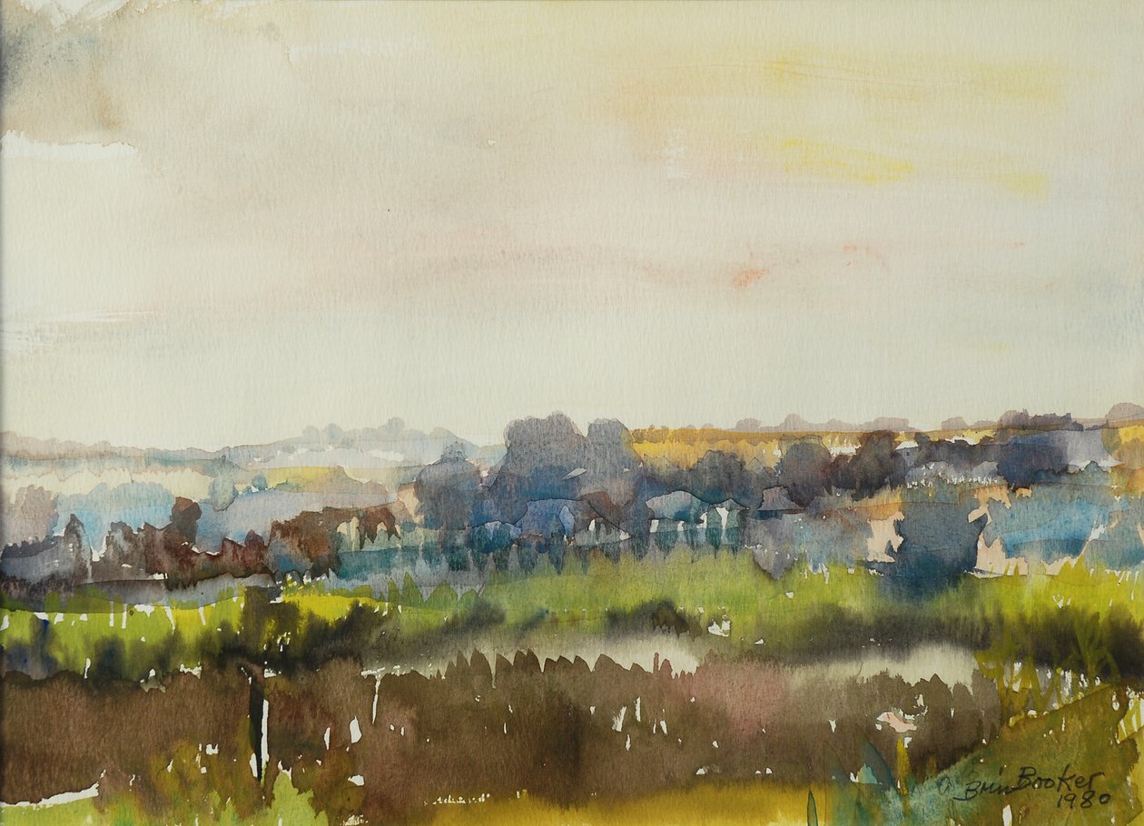 River through the Meadow, 1980 (wc no papel) de Brenda Brin Booker