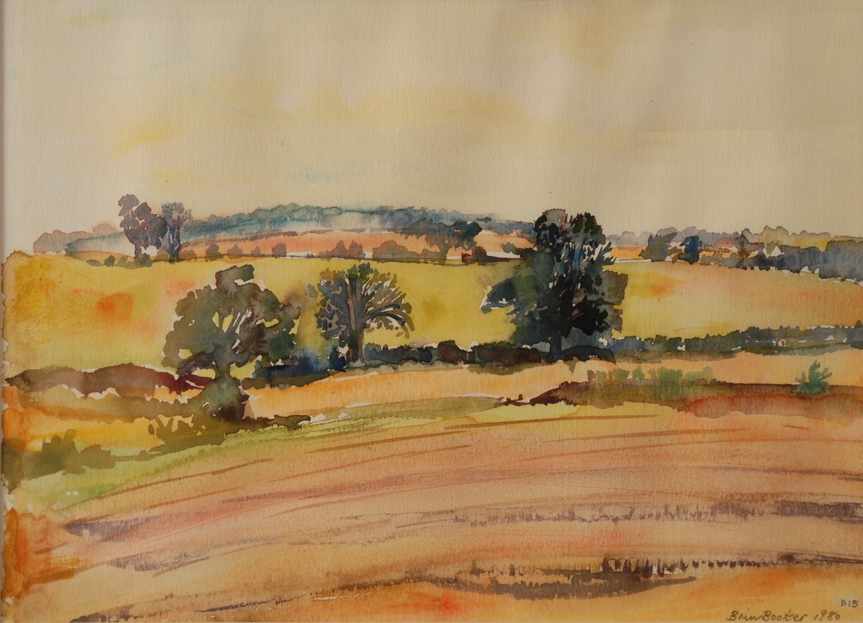 Suffolk Landscape, 1980 (wc no papel) de Brenda Brin Booker