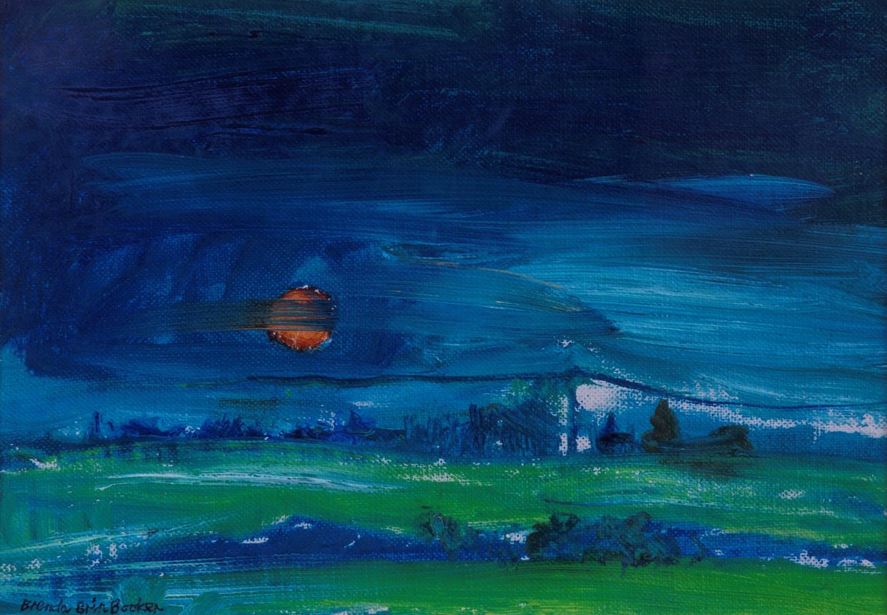 Paisagem da noite de Brenda Brin Booker