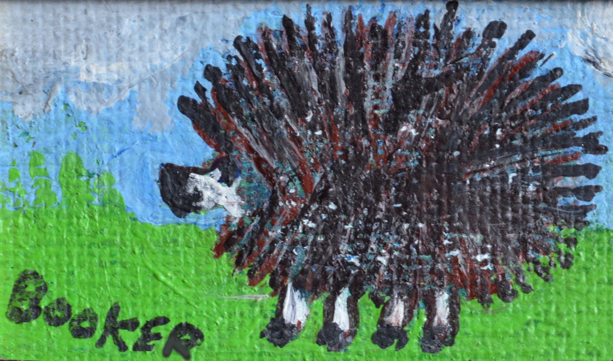 Hedgehog (acrílico sobre hardboard) de Brenda Brin Booker