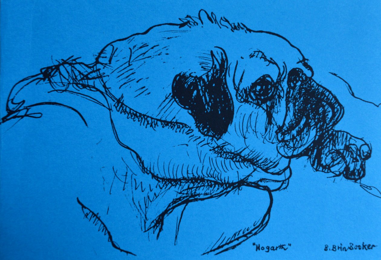 &39;Hogarth&39; (tinta em papel azul) de Brenda Brin Booker