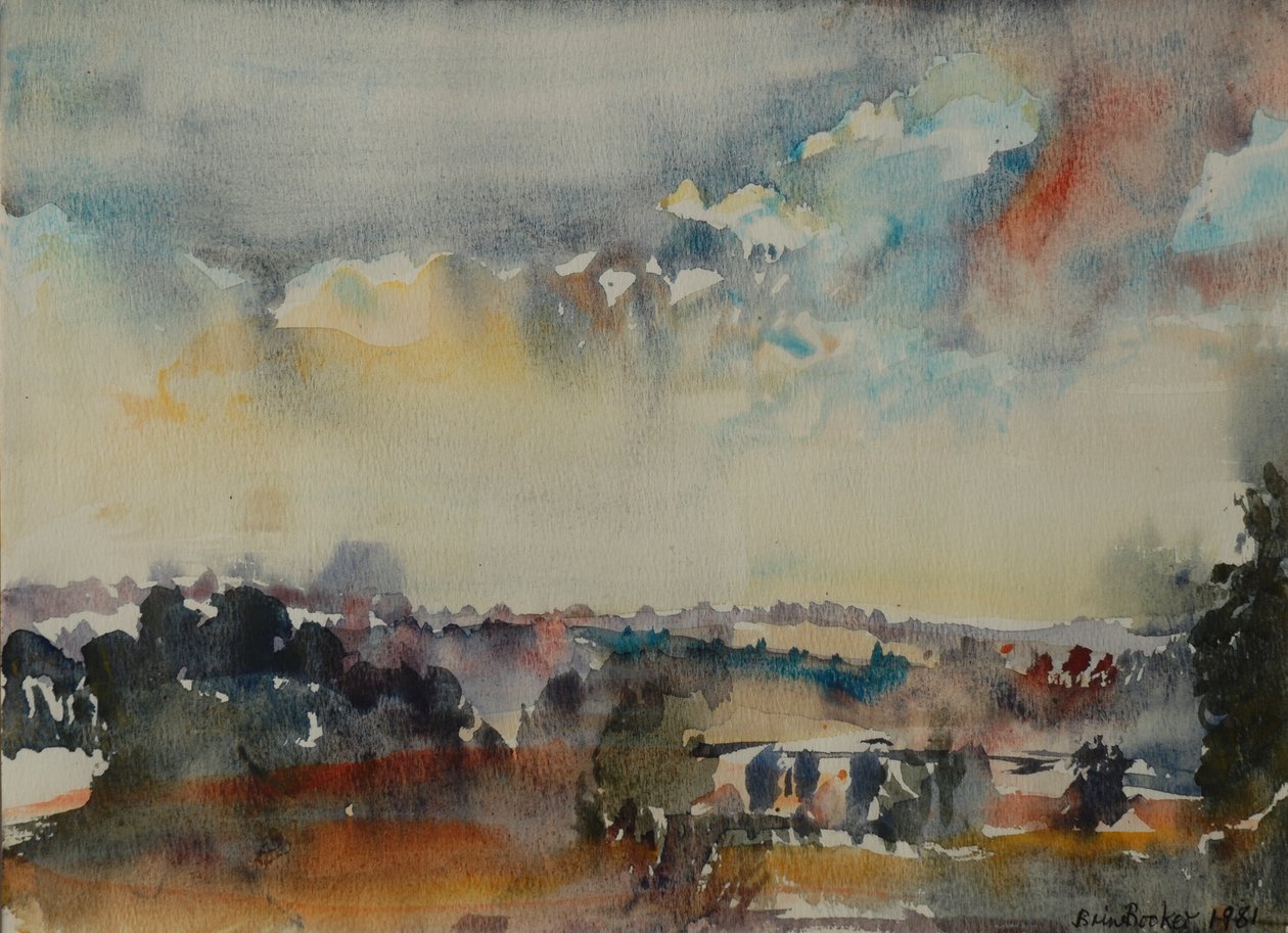 Céu de outubro de 1981 de Brenda Brin Booker