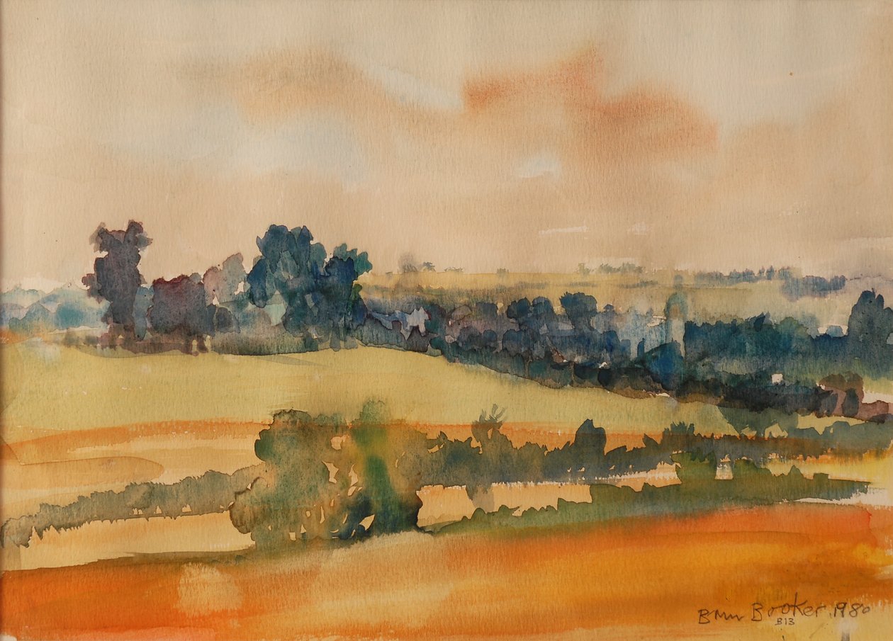 Amadurecimento de Campos, 1980 de Brenda Brin Booker