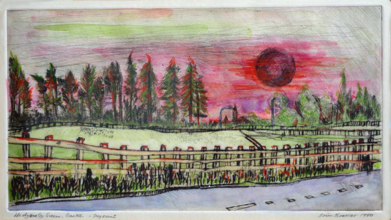 Pôr do sol, hedgerley, verde de Brenda Brin Booker