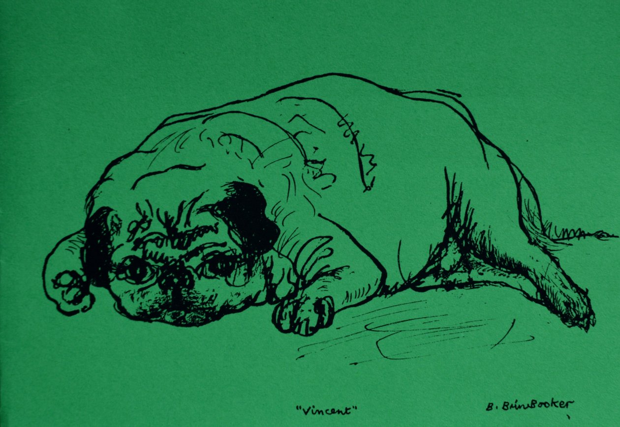 &39;Vincent&39; (tinta em papel verde) de Brenda Brin Booker