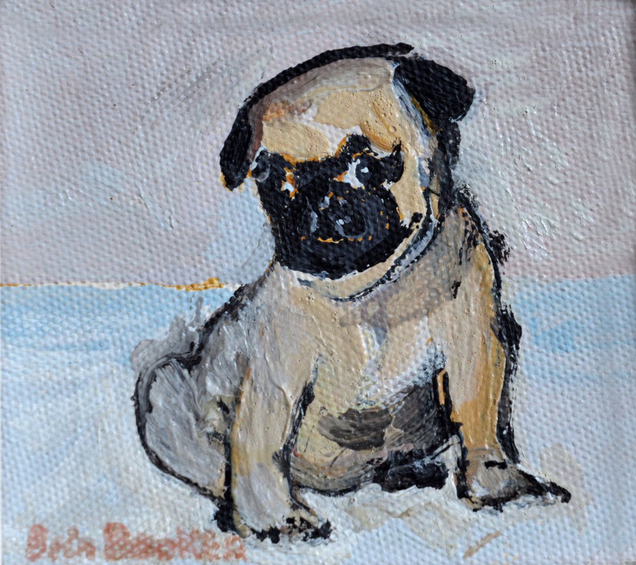 Vincent, o cachorrinho pug de Brenda Brin Booker