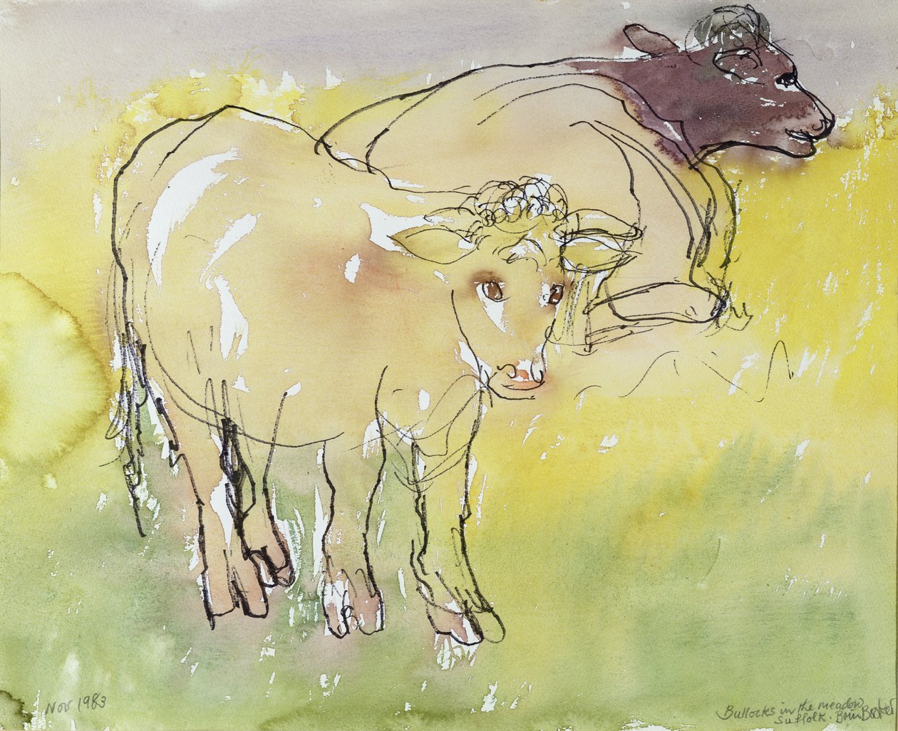 Bullock jovens no Prado, 1983 (caneta e tinta com wc no papel) de Brenda Brin Booker