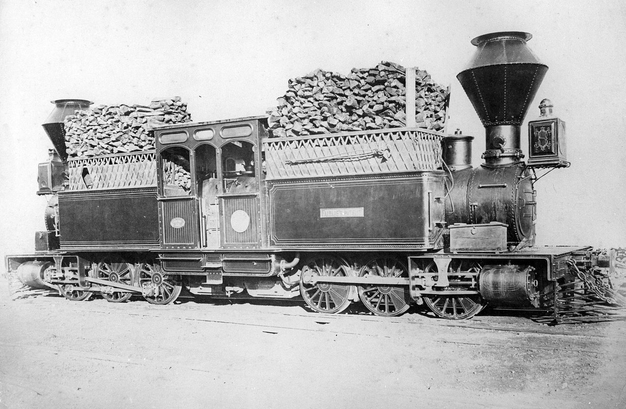 Um motor duplo Fairlie, c.1870s de British Photographer