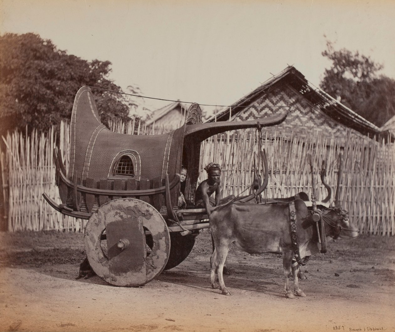 Carrinho do país, Birmânia (1886-88) de British Photographer