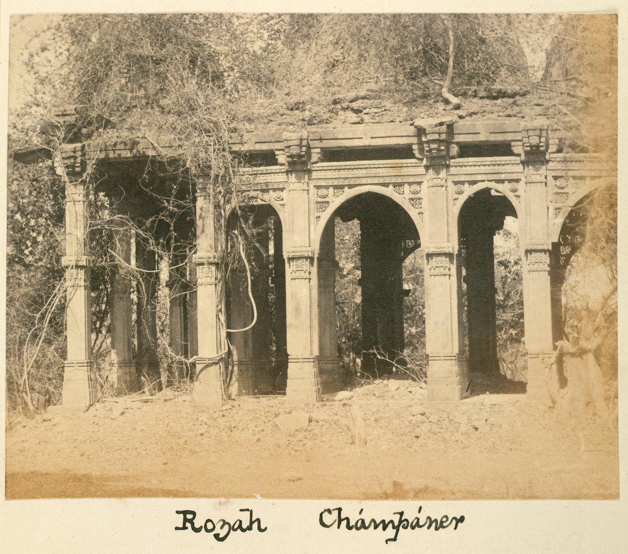 Rozah, Champaner, c.1875 (foto p/b) de British Photographer