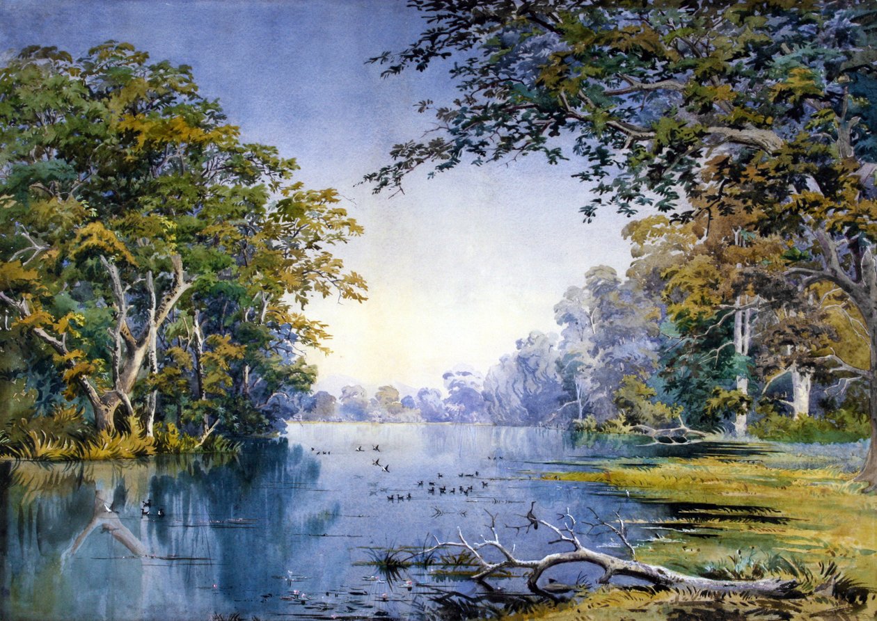 Um rio arborizado (aguarela) de British School