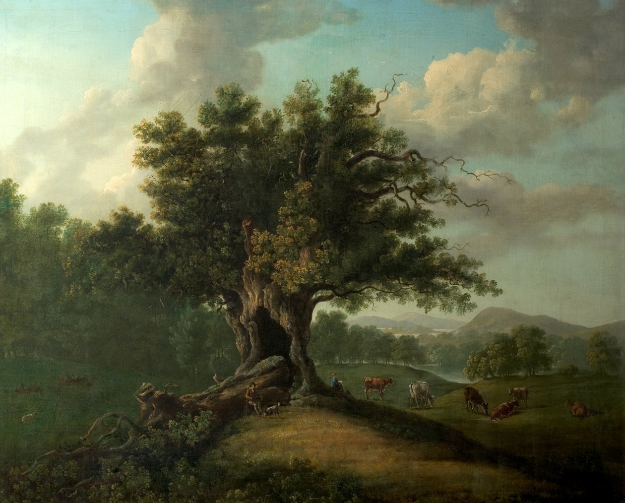 Um carvalho em Moccas Park, Herefordshire (óleo sobre tela) de British School