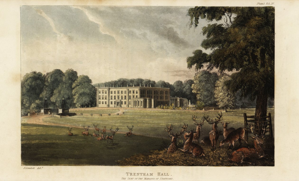 Rebanho de veados em frente ao Trentham Hall de British School