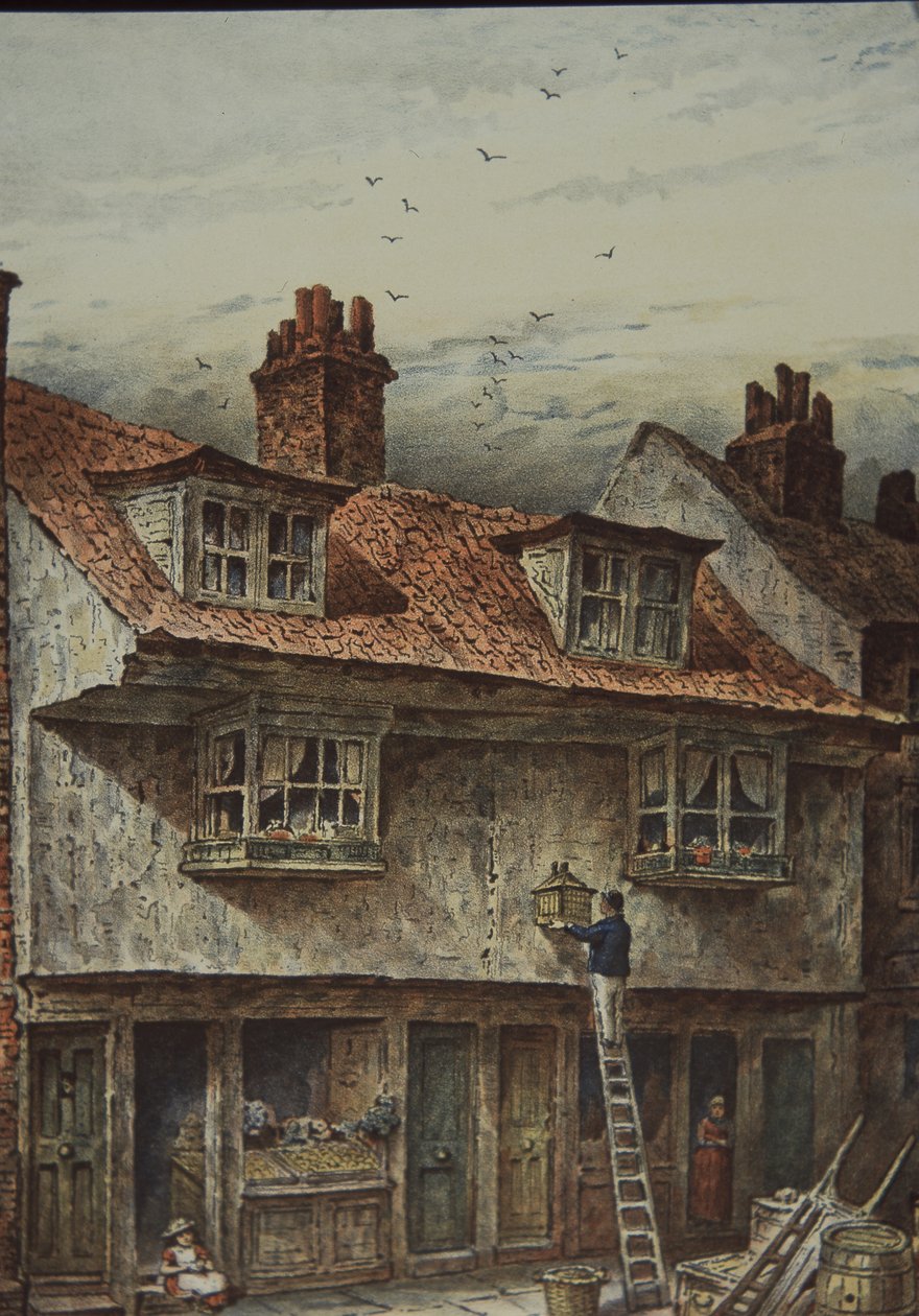 Casas em Saffron Hill, Londres, entre Holborn e Clerkenwell, c.1883 (cor litho) de British School