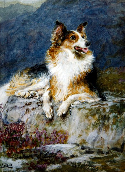 Collie em uma paisagem de Briton Riviere