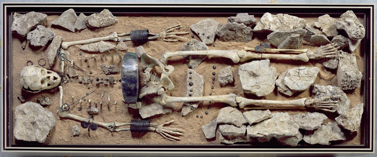Túmulo feminino ricamente dotado de Molzbach bei Huenfeld de Bronze Age