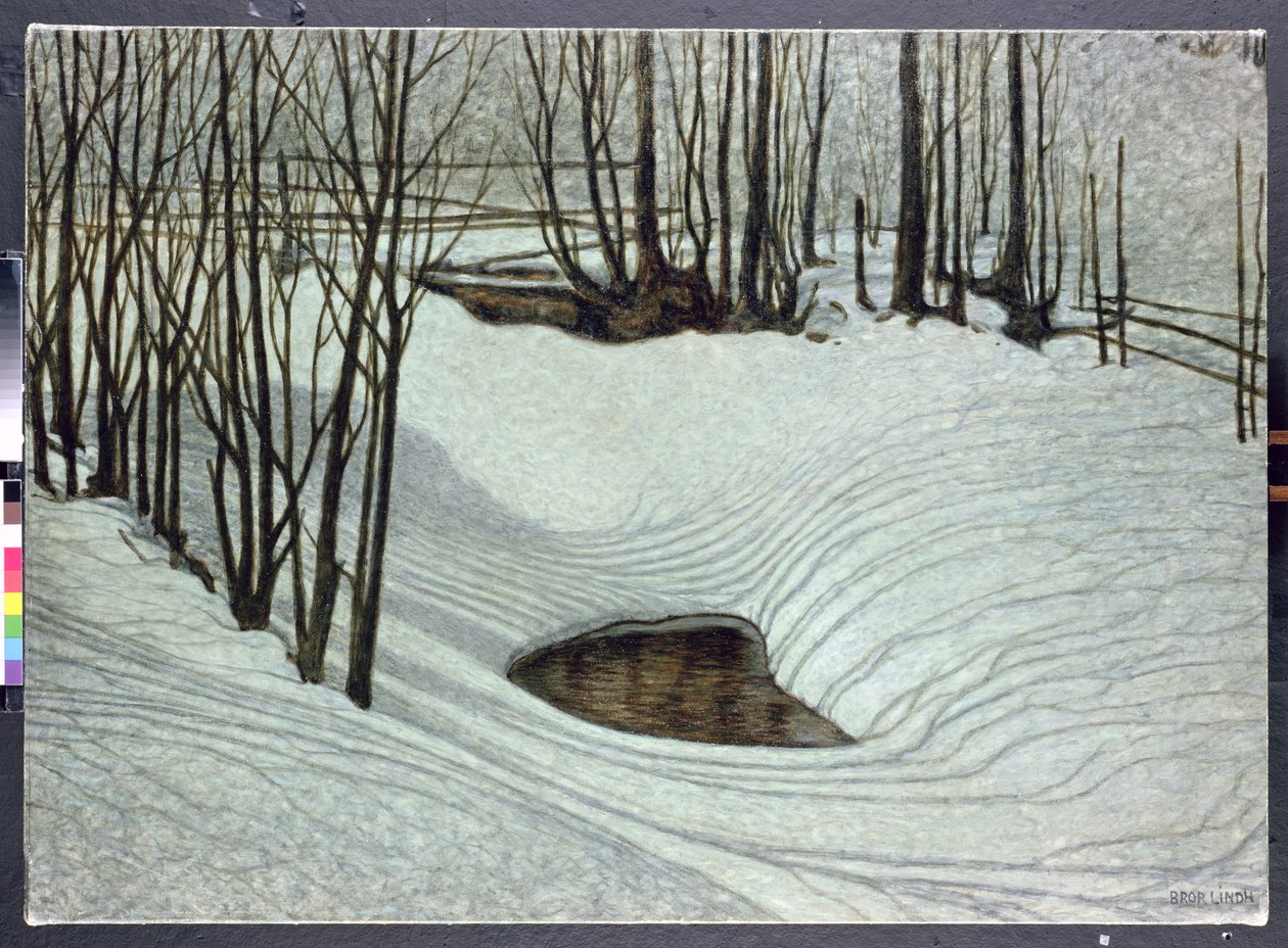 Floresta no inverno, c.1905 de Bror Lindh