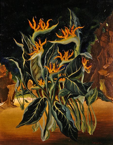 Flores estranhas (óleo sobre tela) de Bruce Hollingsworth