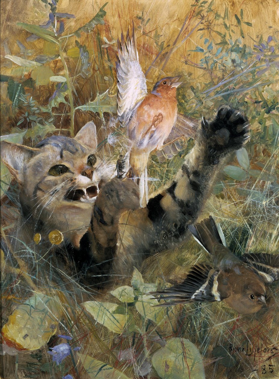 Um gato e um tentilhão, 1885 de Bruno Andreas Liljefors