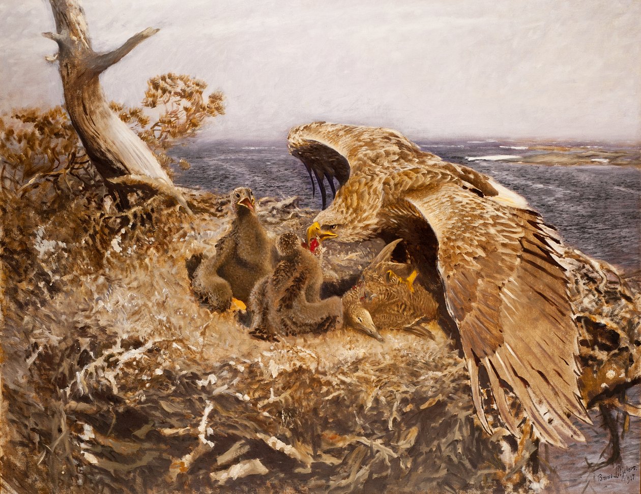 Ninho da Águia do Mar, 1907 de Bruno Andreas Liljefors