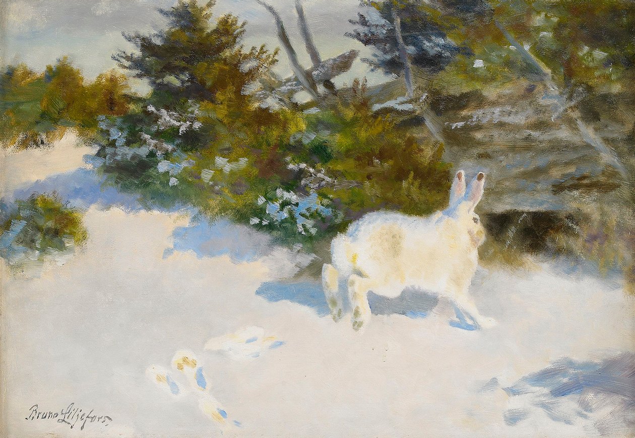 Lebre no inverno landscap Sueco: Lebre na paisagem do inverno de Bruno Andreas Liljefors