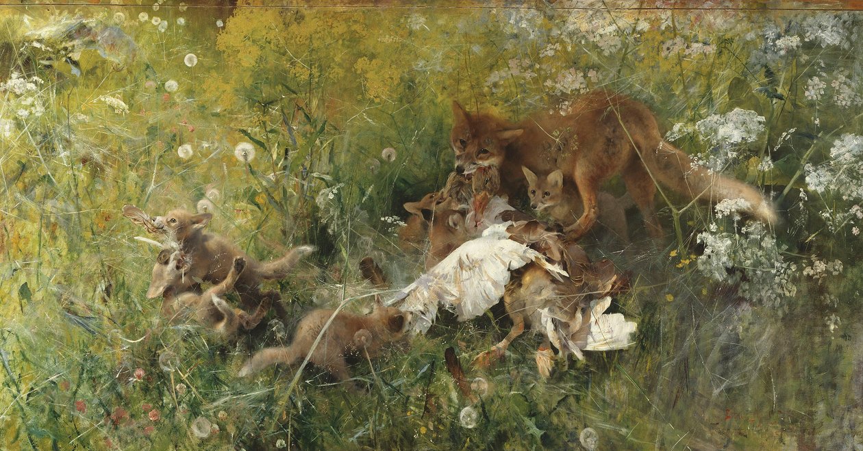 Uma família Fox de Bruno Andreas Liljefors