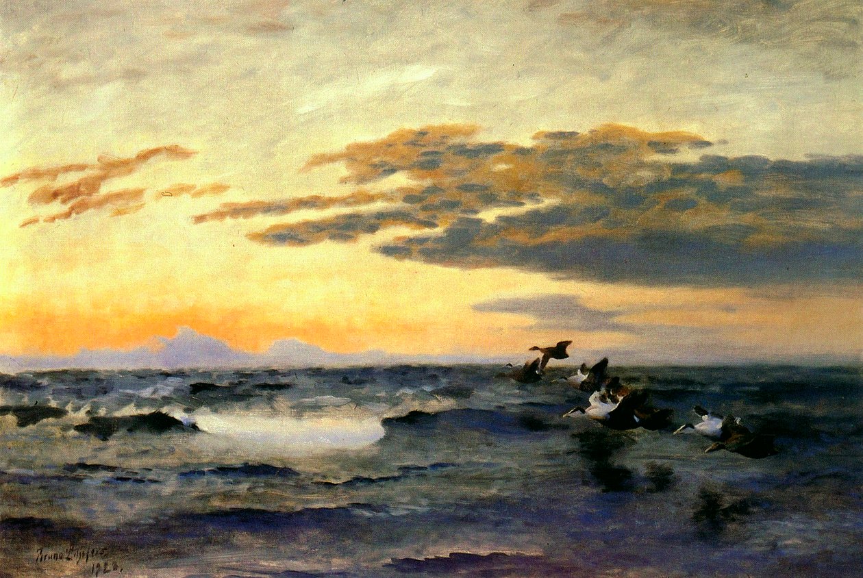 Eiders ao nascer do sol de Bruno Andreas Liljefors