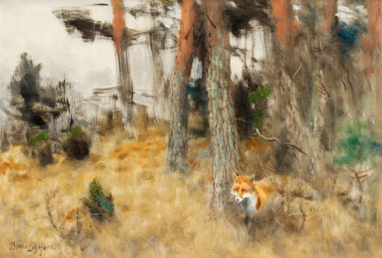 Âmbar na floresta de Bruno Andreas Liljefors