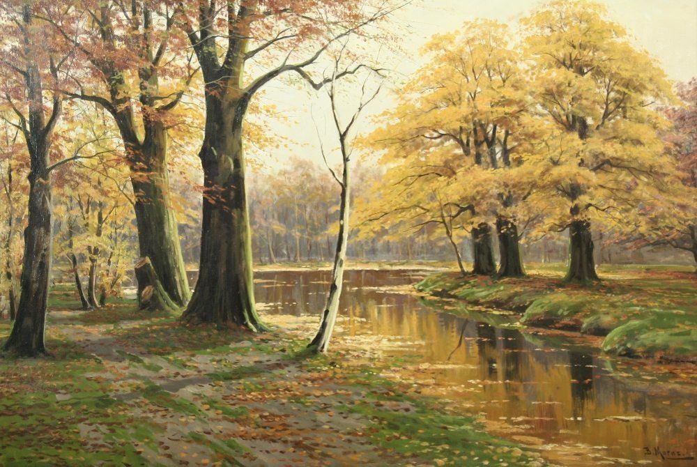 Outono paisagem florestal com águas de Bruno Moras
