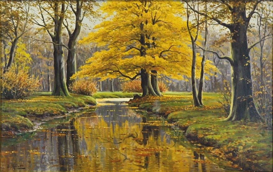 Floresta de outono com fluxo correndo alemão: Outono floresta com fluxo de fluxo de Bruno Moras