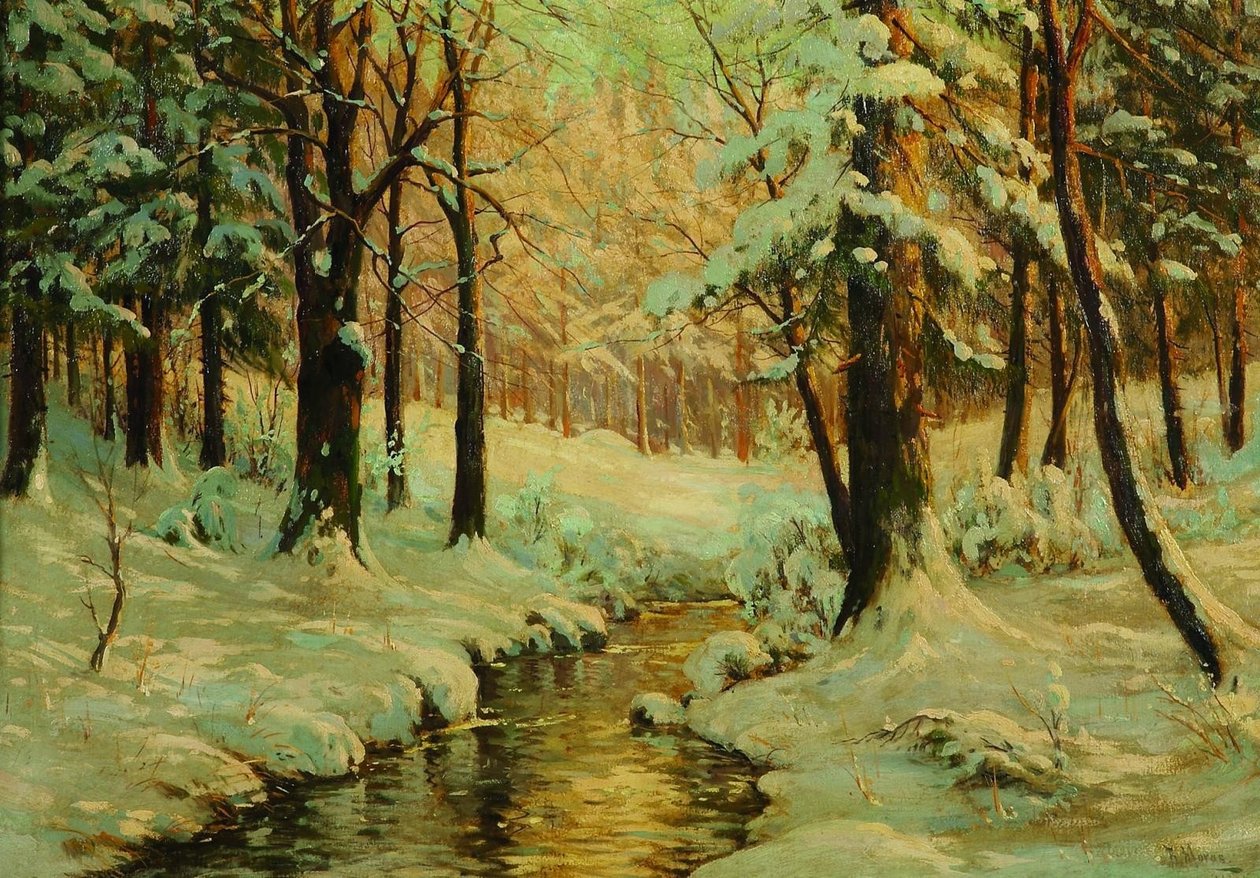 Floresta de inverno em Brocken em Harzn de Bruno Moras
