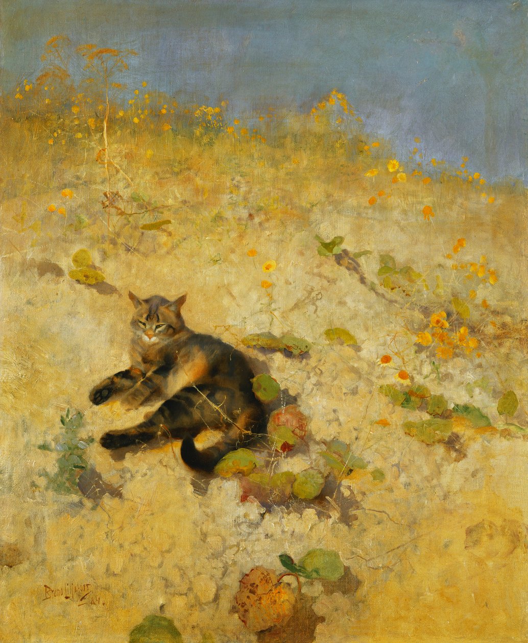 Um gato se aquecendo ao sol de Bruno Andreas Liljefors