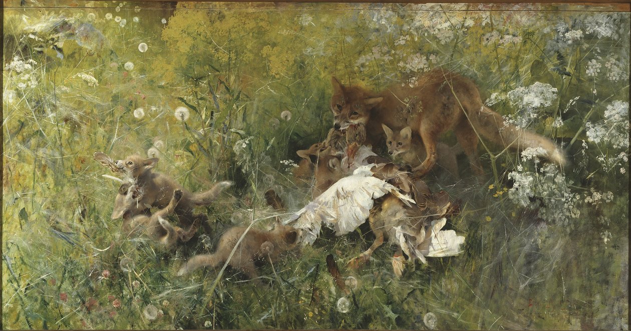 Uma família Fox de Bruno Andreas Liljefors