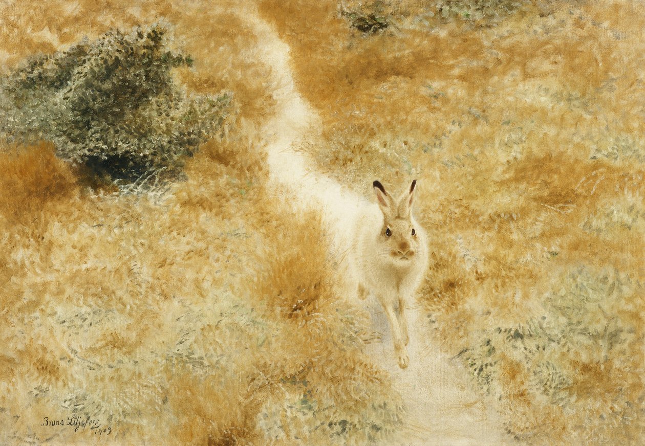 Uma lebre de inverno em uma paisagem de Bruno Andreas Liljefors