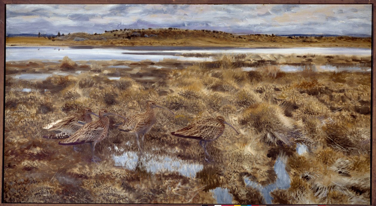 Coalhadas Aves nos pântanos. Pintura de Bruno Andreas Liljefors (1860-1939) 1913 Sol. 1,19x2,2 m de Bruno Andreas Liljefors