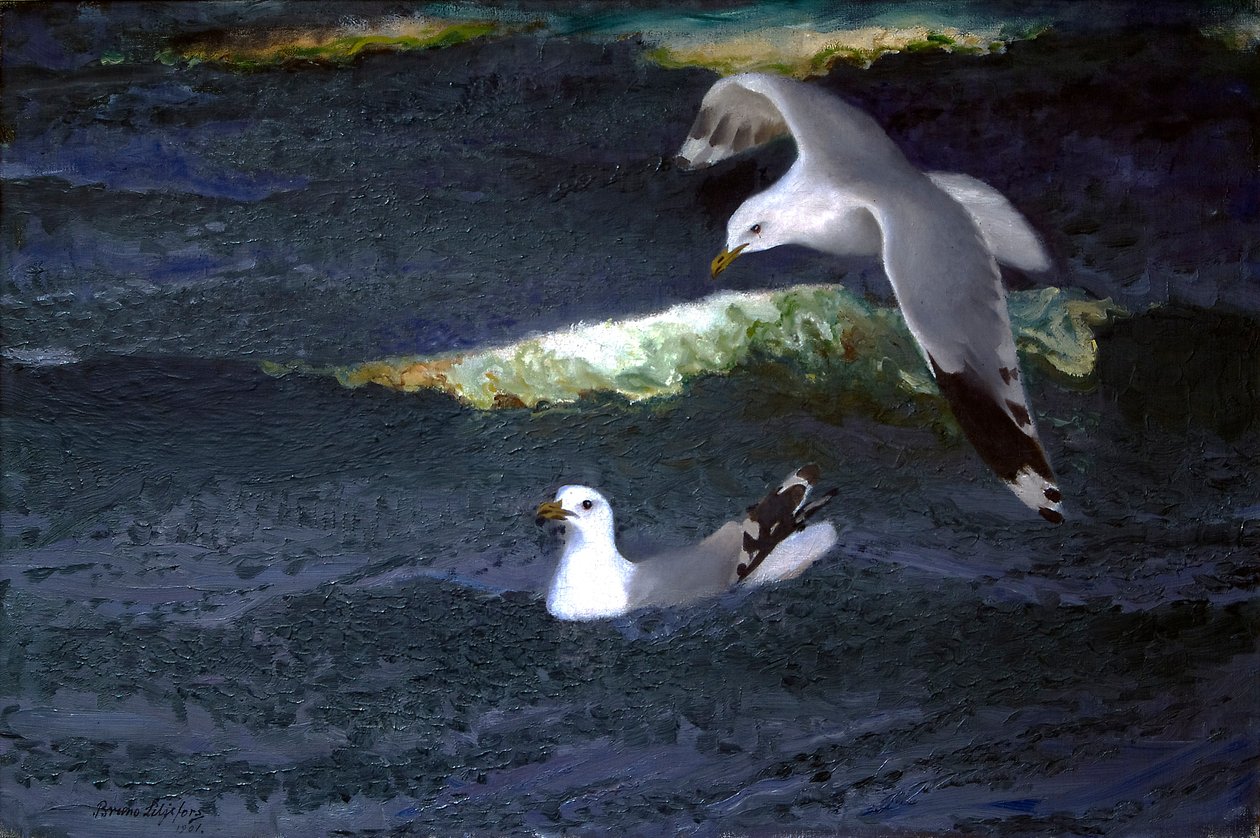 Gaivotas de Bruno Andreas Liljefors