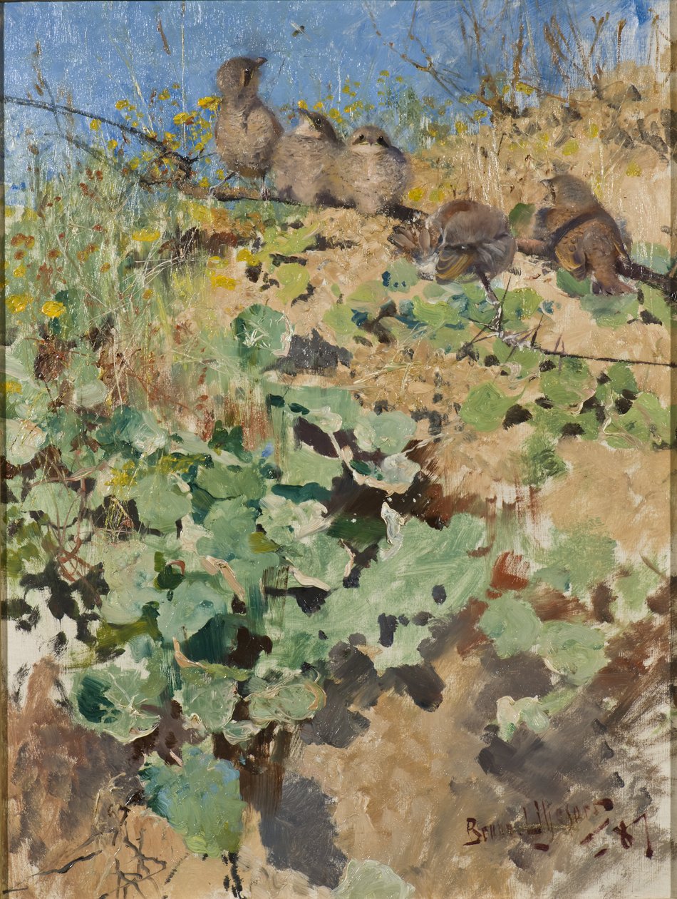Filhotes de Picanço-de-dorso-ruivo, 1887 de Bruno Andreas Liljefors