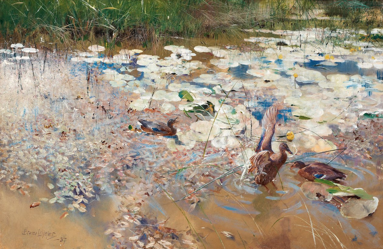 Patos Selvagens, 1887. de Bruno Andreas Liljefors
