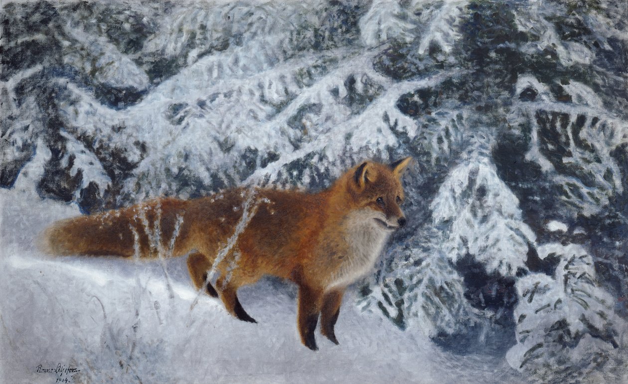 Raposa de Inverno de Bruno Andreas Liljefors
