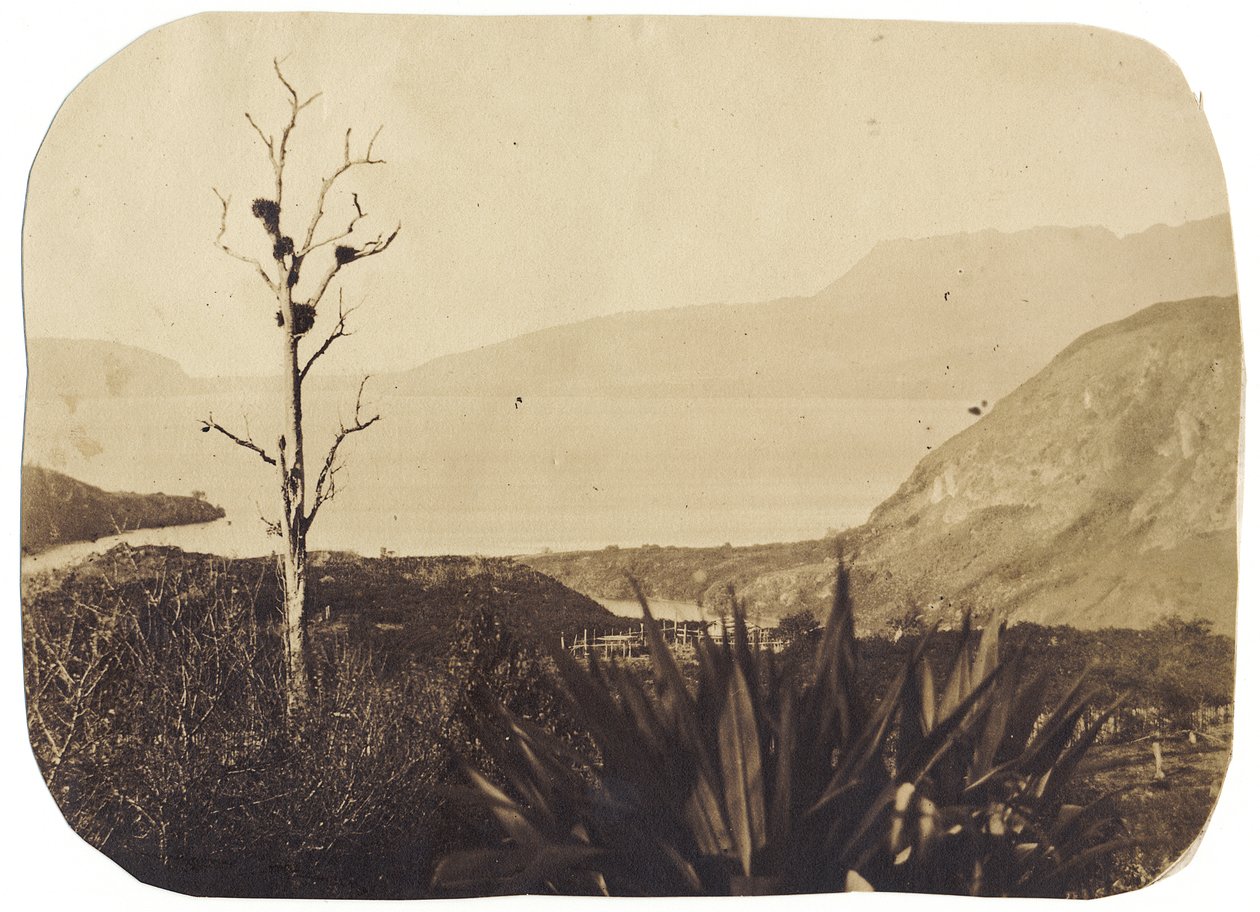 Lago e Monte Tarawera de Wairoa, 1860 (impressão de albume) de Bruno Hamel