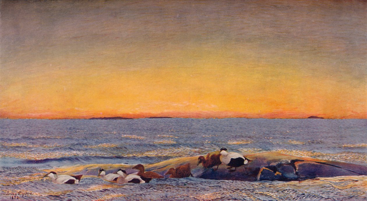 Nascer do sol, 1896 de Bruno Andreas Liljefors