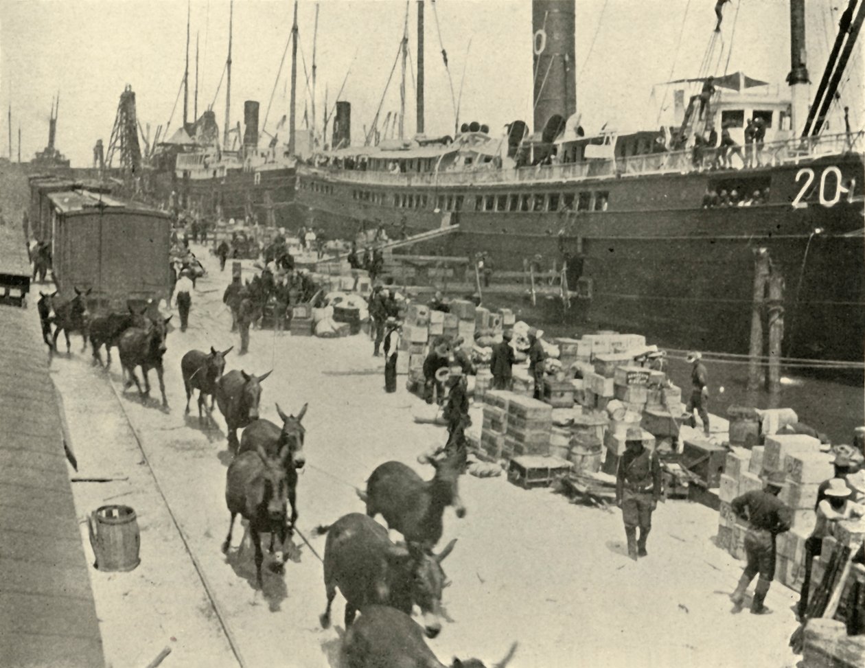 Tropas em Port Tampa, Flórida, EUA, Guerra Hispano-Americana, 10 de junho de 1898, 1899. de Burr McIntosh